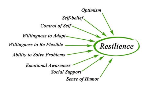  When Disaster Strikes: A Guide to Emotional Resilience -  Navigating the Depths of Human Psyche Through the Lens of Catastrophe