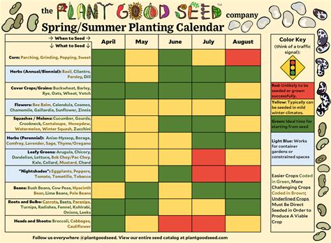 Can You Weed and Feed in Summer? Exploring the Paradox of Seasonal Gardening