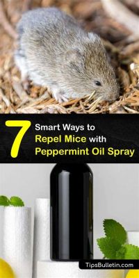 How to Make Peppermint Spray for Mice and Why Cats Might Disagree