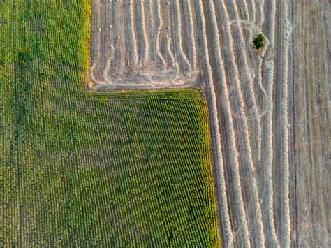  Land Use Policy in Brazil: Unveiling Rural Landscapes Through Sustainability