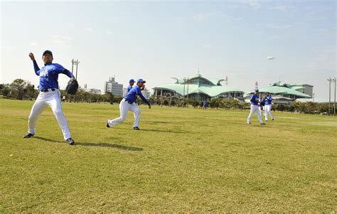 沖縄 プロ野球 キャンプ ～海風とバットの共演～